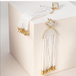 Ashley Tassels- RETIRED